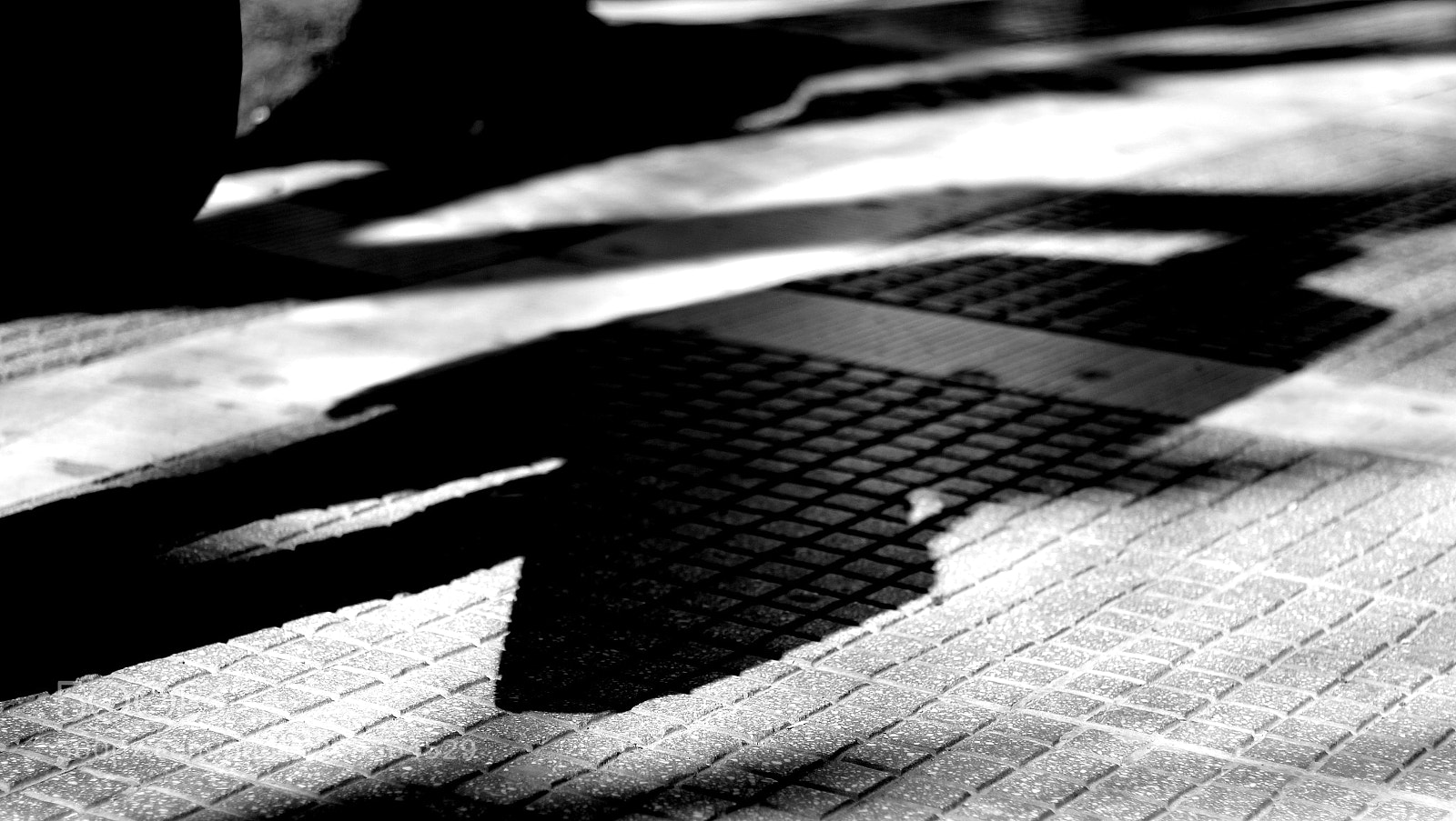 Canon EOS 550D (EOS Rebel T2i / EOS Kiss X4) sample photo. Just arrived photography