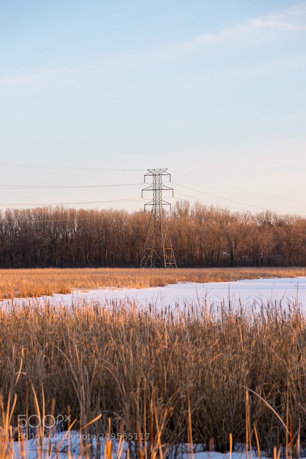 Canon EOS 6D Mark II sample photo. Golden photography