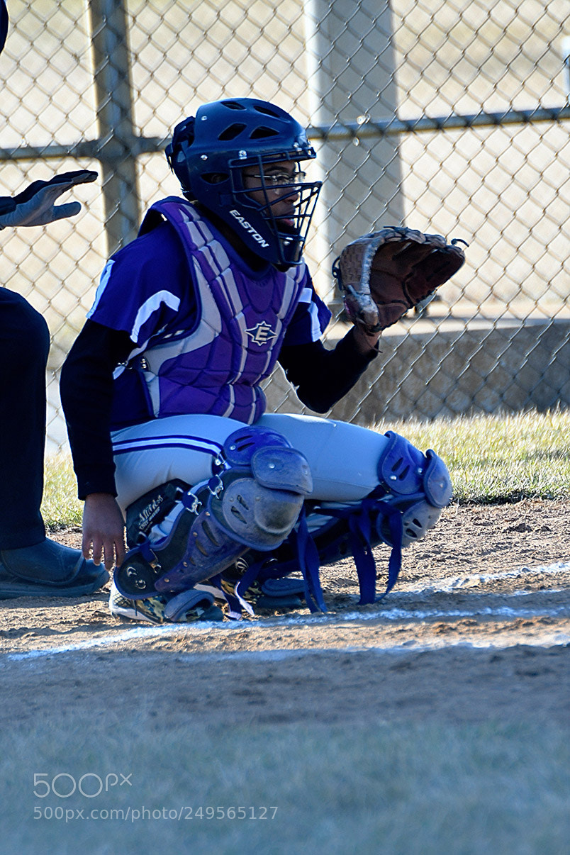Nikon D500 sample photo. 3-14_0060.jpg photography