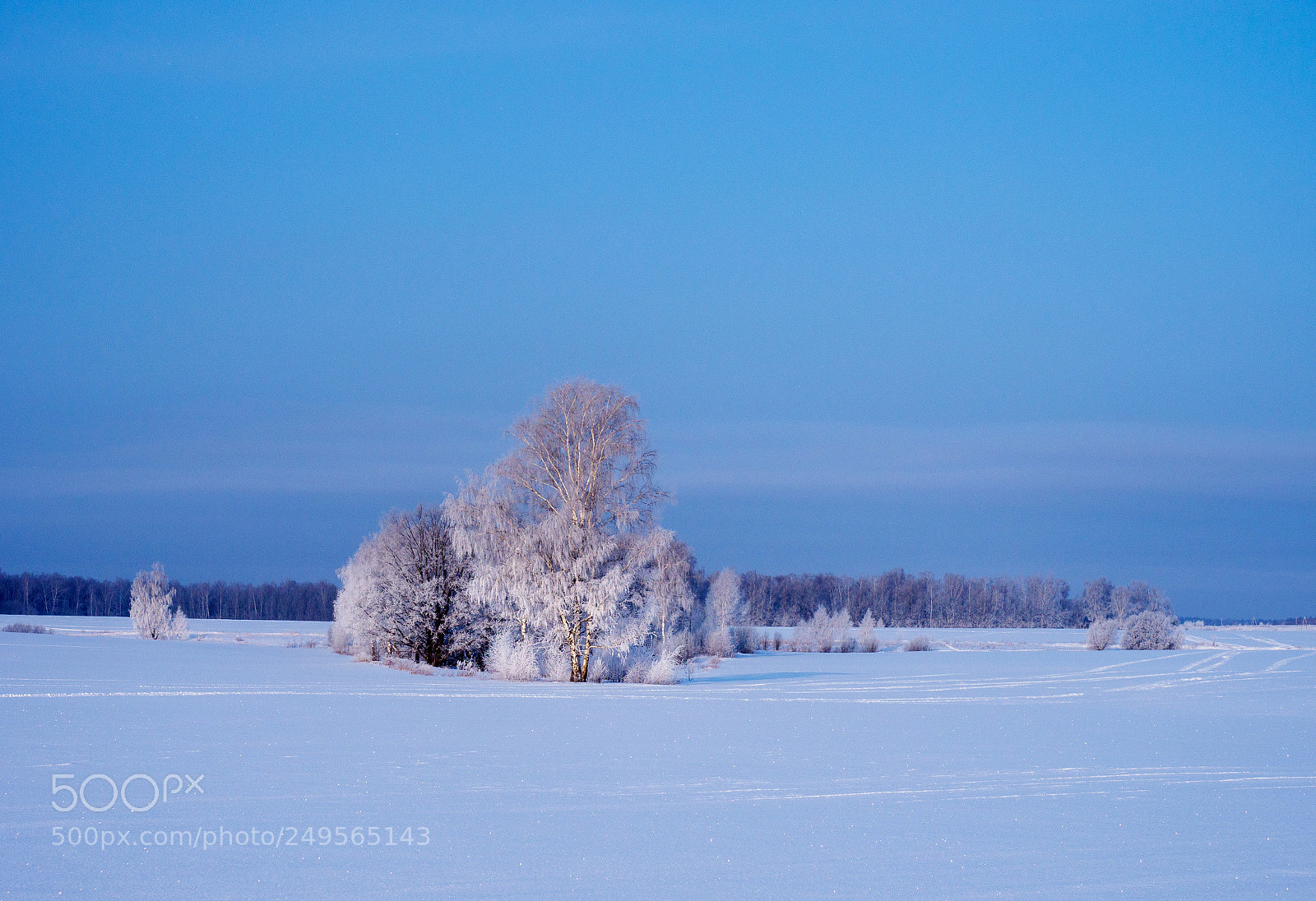 Olympus OM-D E-M1 Mark II sample photo. Beautiful winter landscape with photography
