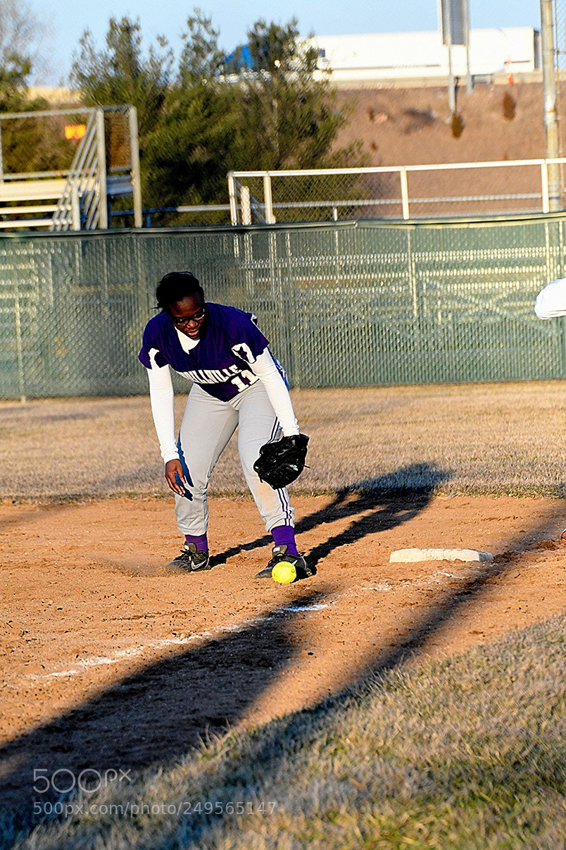 Nikon D500 sample photo. 3-14_0994.jpg photography