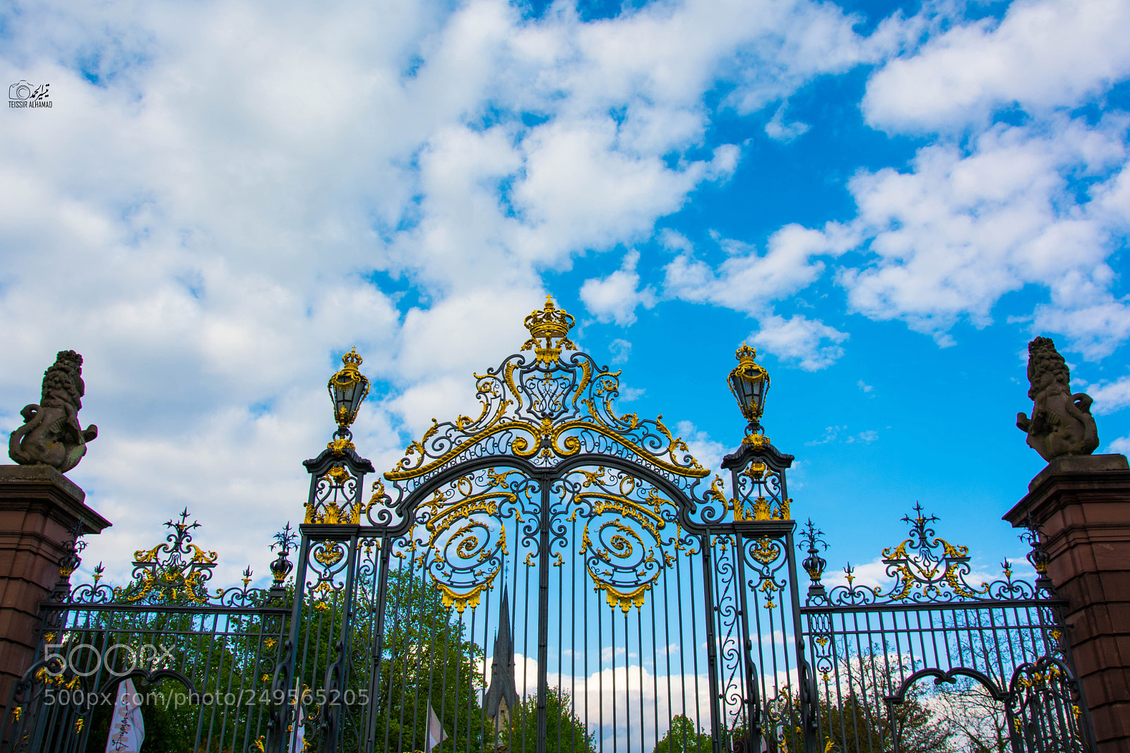 Nikon D5200 sample photo. Bfo photography
