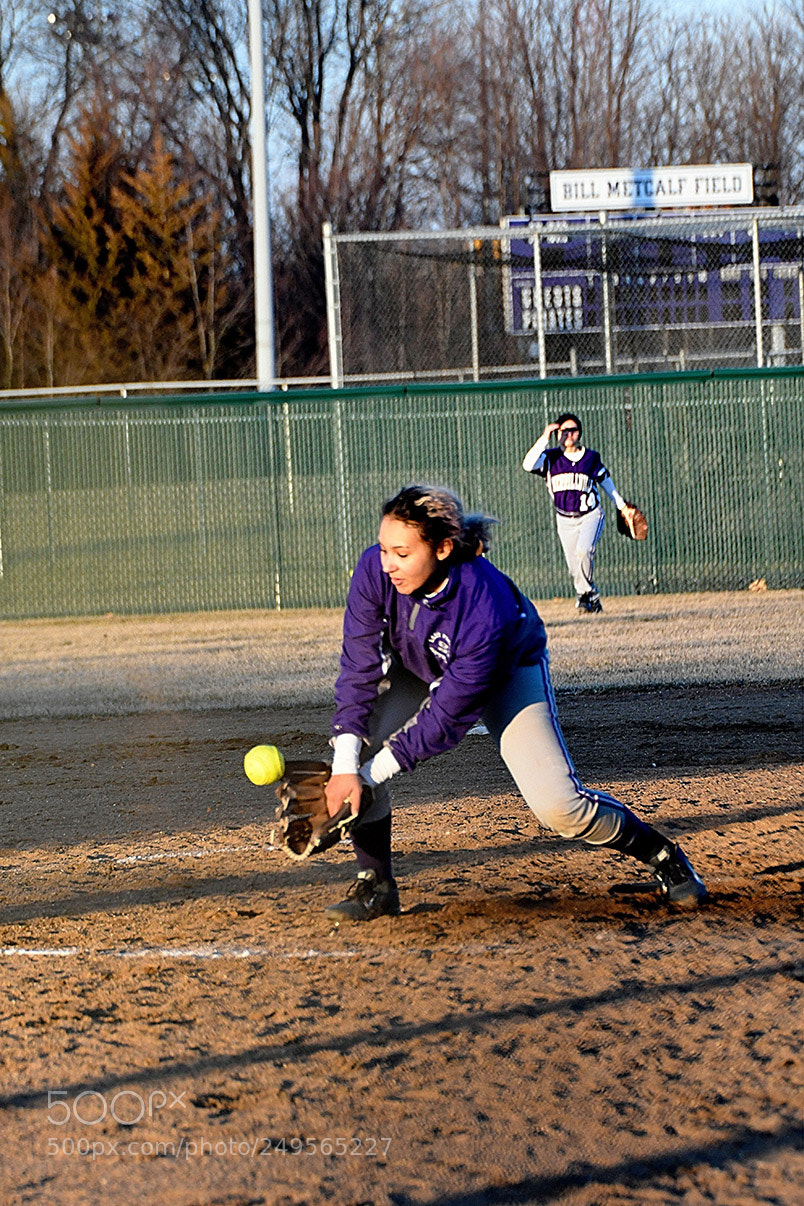 Nikon D500 sample photo. 3-14_0998.jpg photography