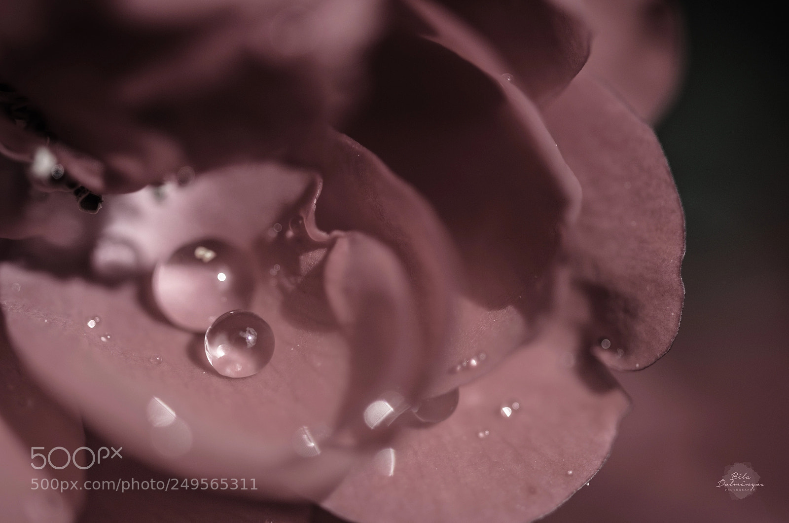 Nikon D7000 sample photo. Soft illusion photography