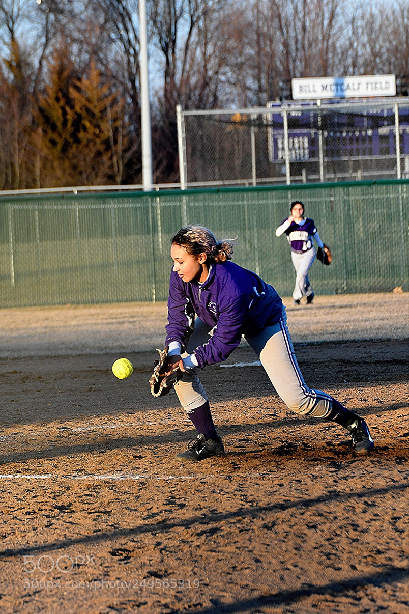 Nikon D500 sample photo. 3-14_0999.jpg photography
