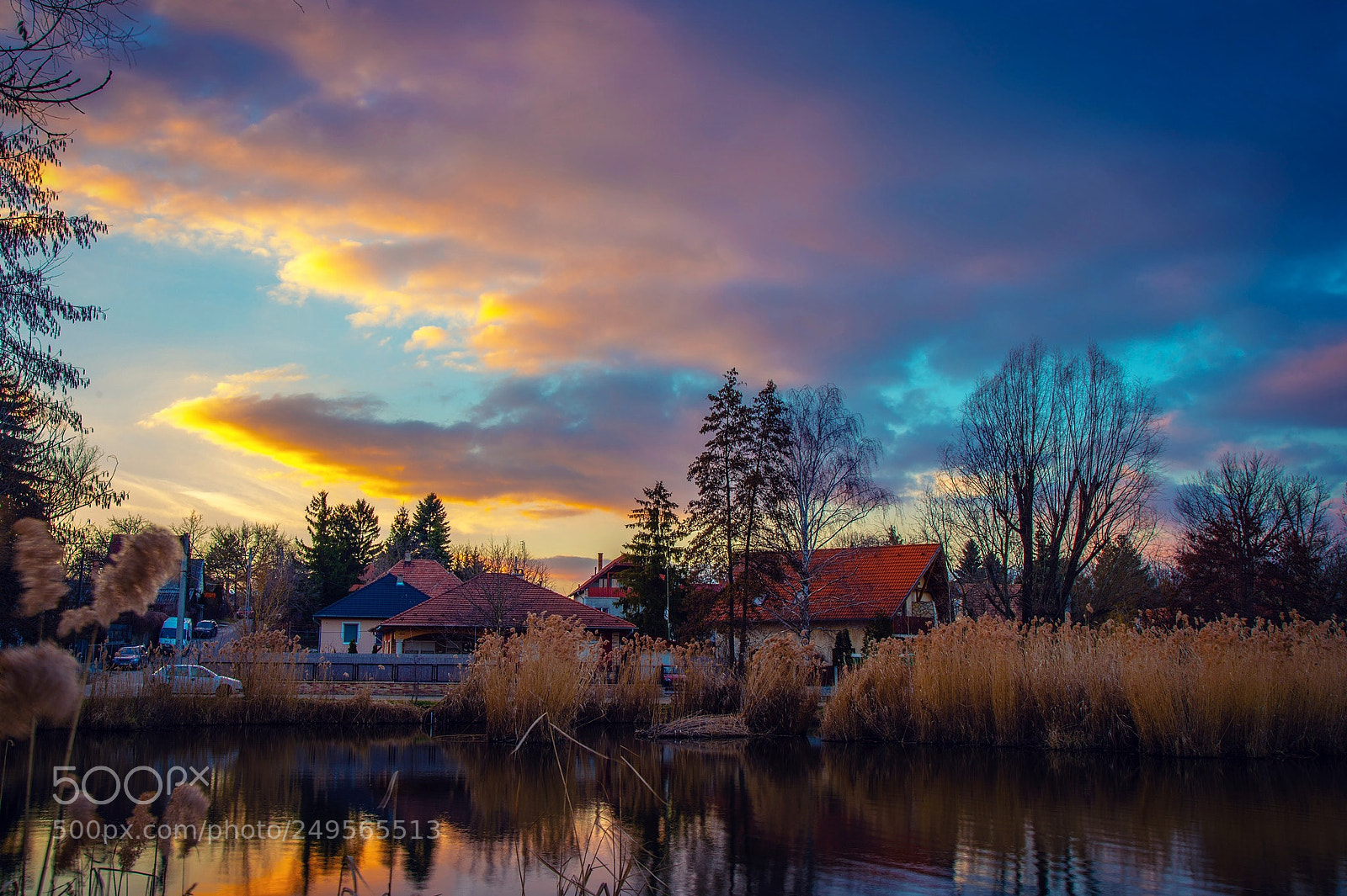 Sony a7R III sample photo. Lakeside life photography