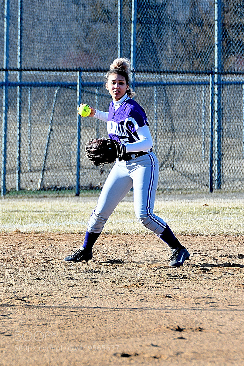 Nikon D500 sample photo. 3-14_0067.jpg photography