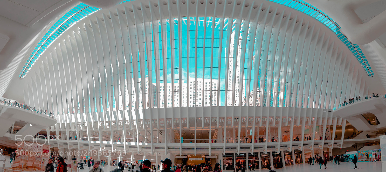 Nikon D7000 sample photo. Oculus new york photography