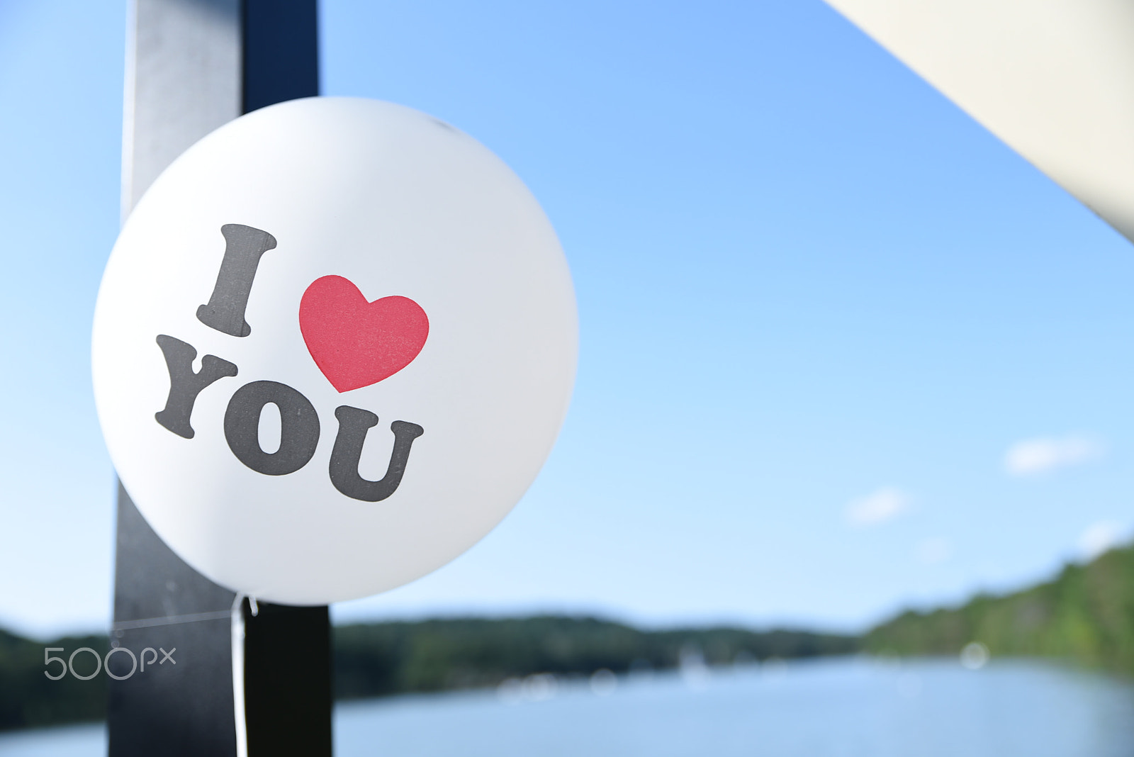 Tamron SP 24-70mm F2.8 Di VC USD sample photo. I <3 you balloon photography