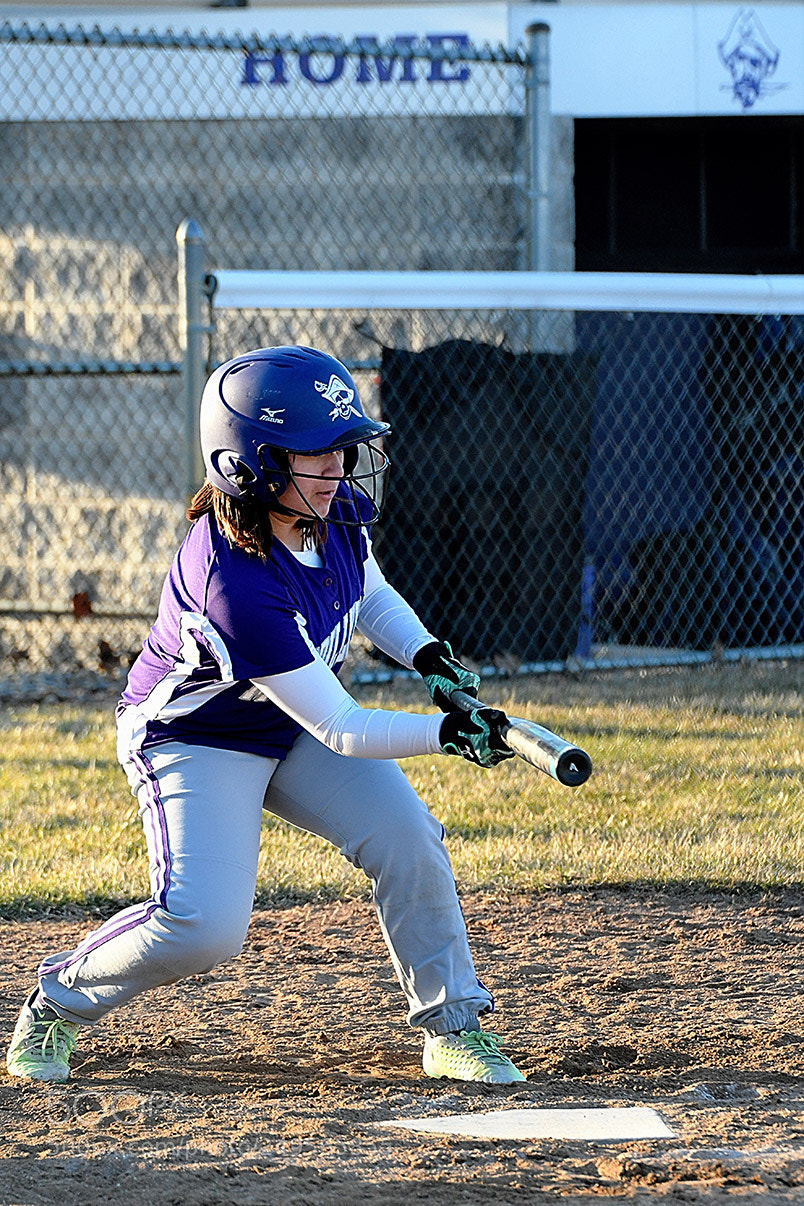 Nikon D500 sample photo. 3-14_0797.jpg photography