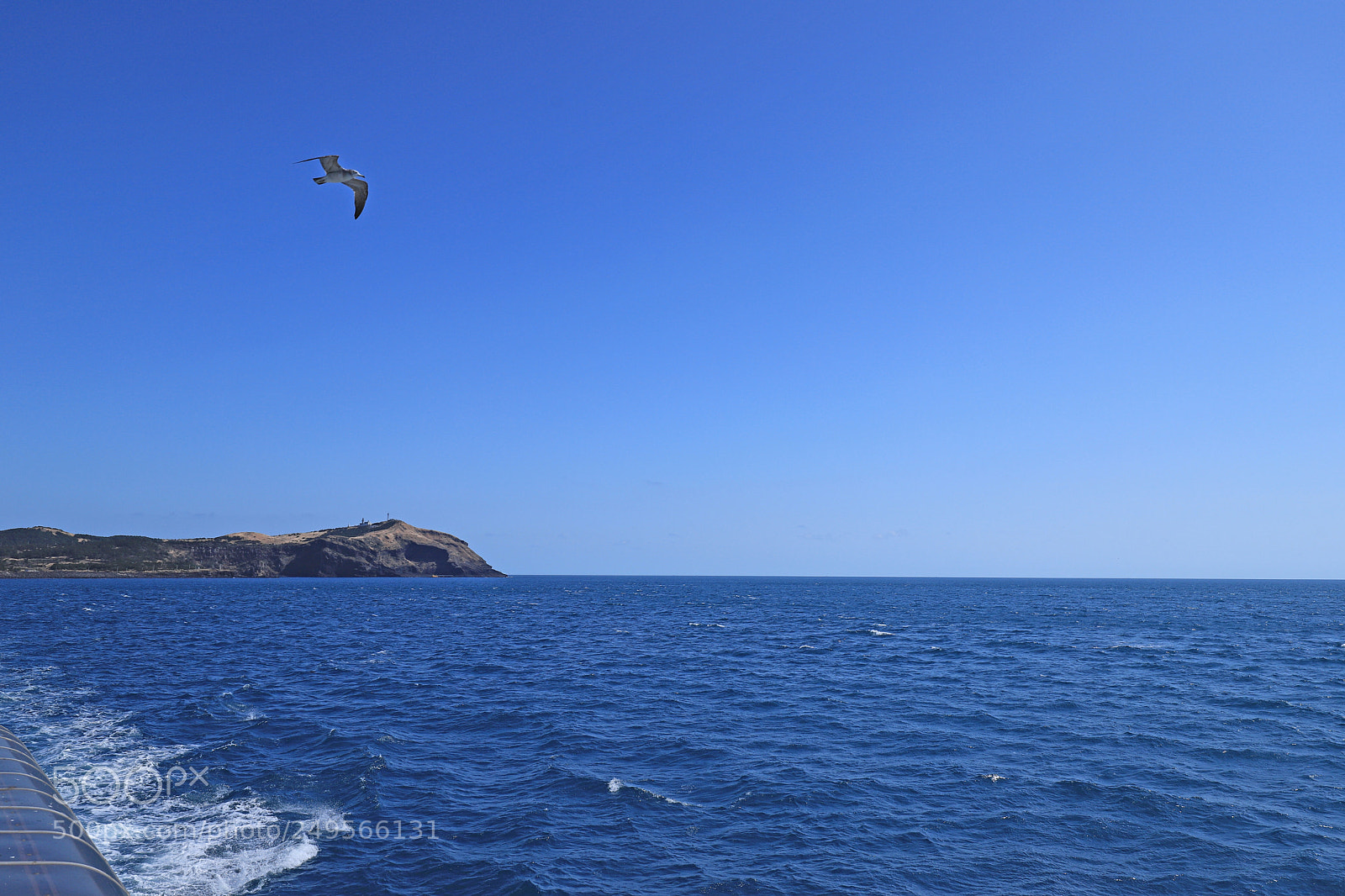 Canon EOS 6D Mark II sample photo. Flying photography