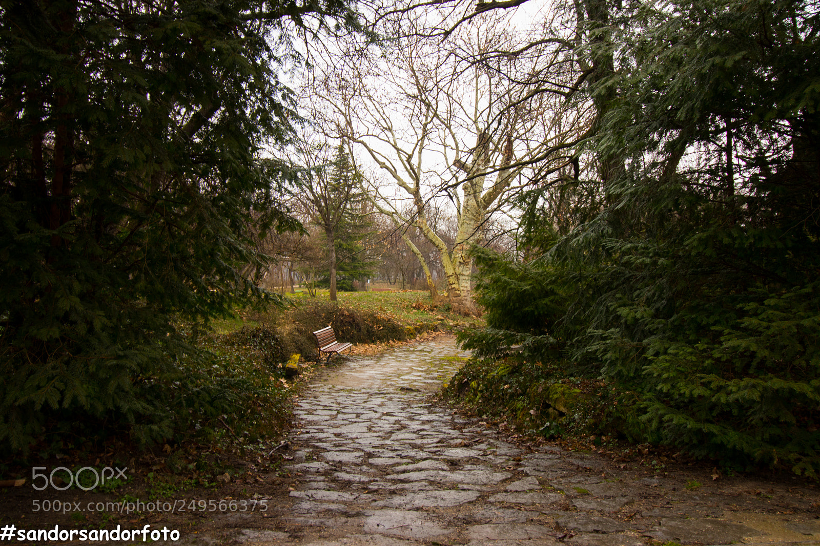 Canon EOS 80D sample photo. Untitled photography