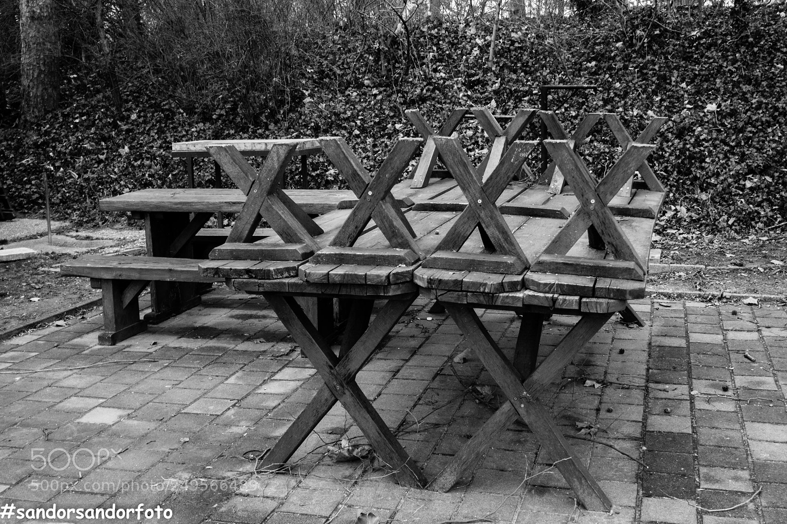 Canon EOS 80D sample photo. Untitled photography