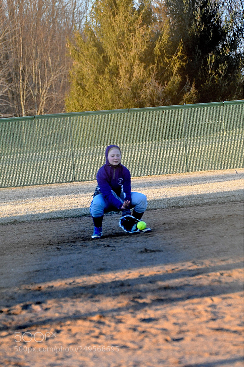 Nikon D500 sample photo. 3-14_1023.jpg photography