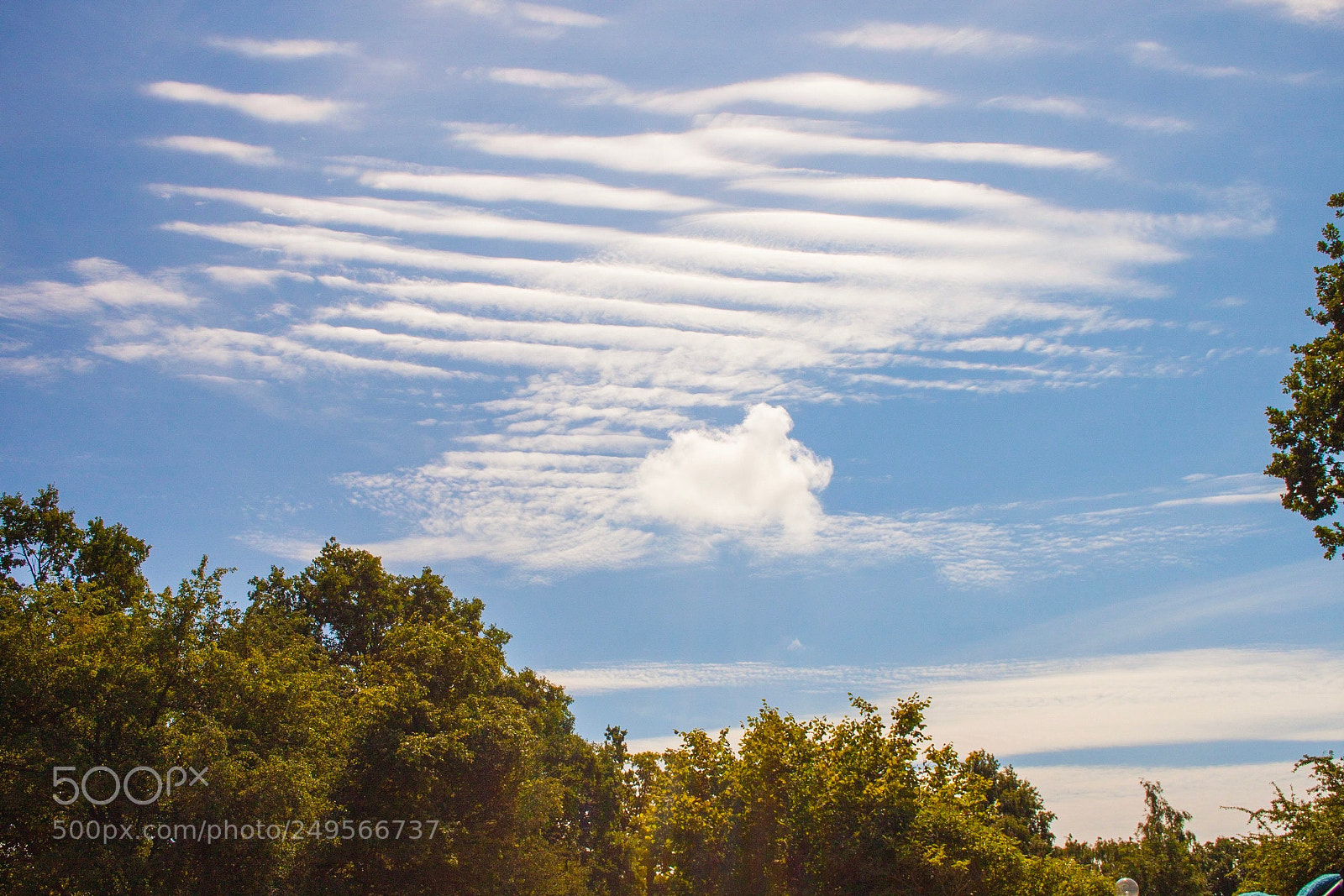 Canon EOS 500D (EOS Rebel T1i / EOS Kiss X3) sample photo. Clouds photography
