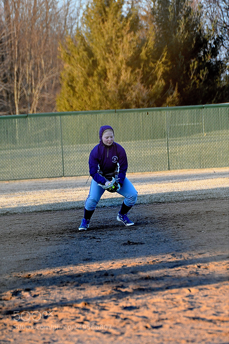 Nikon D500 sample photo. 3-14_1024.jpg photography