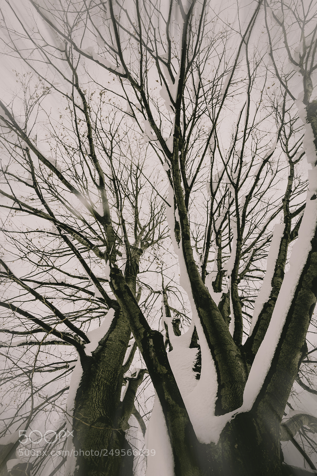 Nikon D7100 sample photo. Edit photography