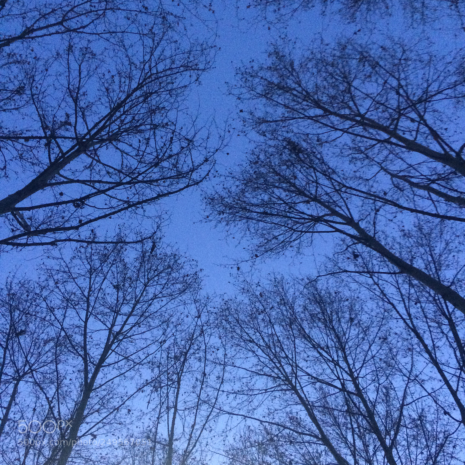 Apple iPhone 5s sample photo. Untitled photography
