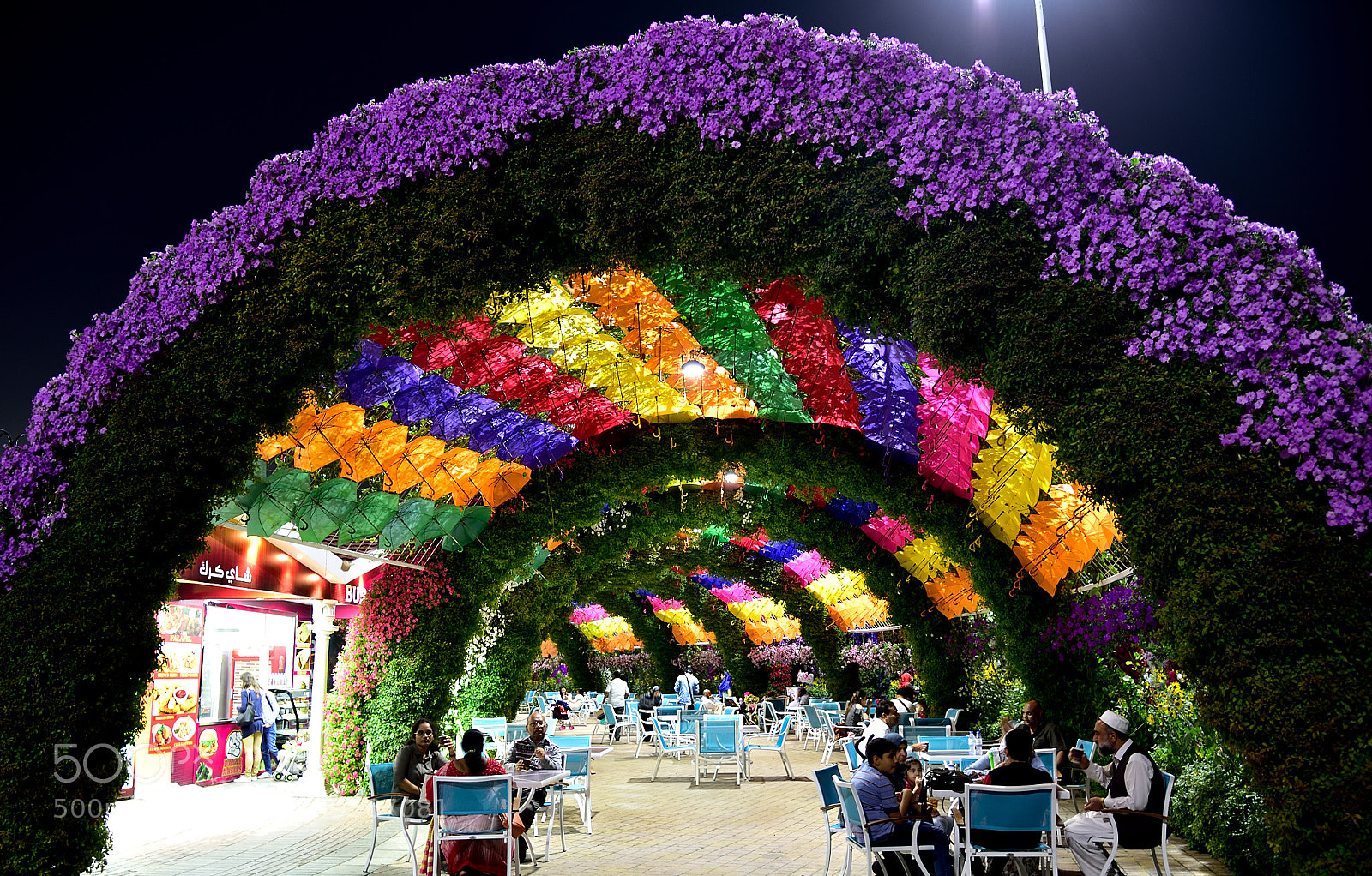 Nikon AF-S Nikkor 24-120mm F4G ED VR sample photo. Dubai miracle garden photography