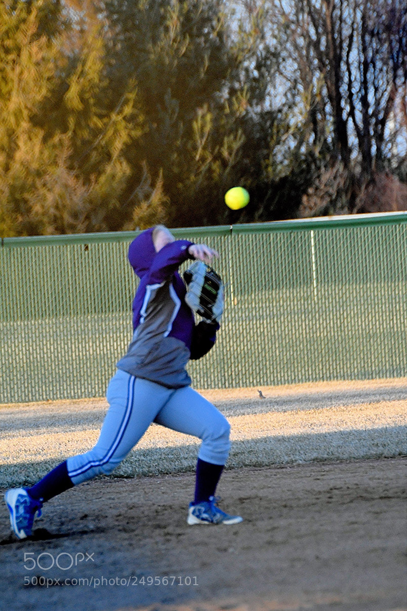 Nikon D500 sample photo. 3-14_1028.jpg photography