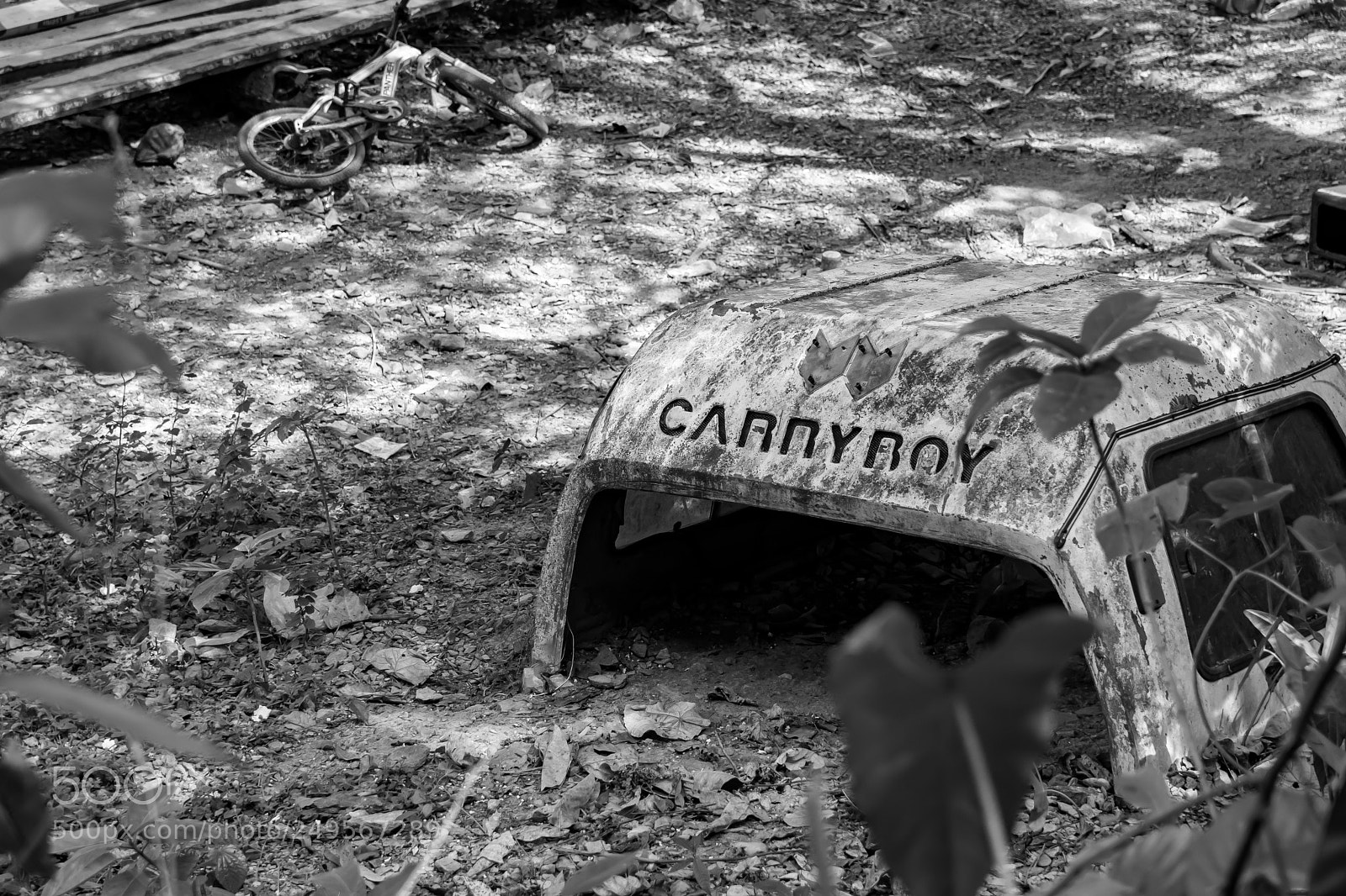 Nikon D5300 sample photo. The abandoned car photography