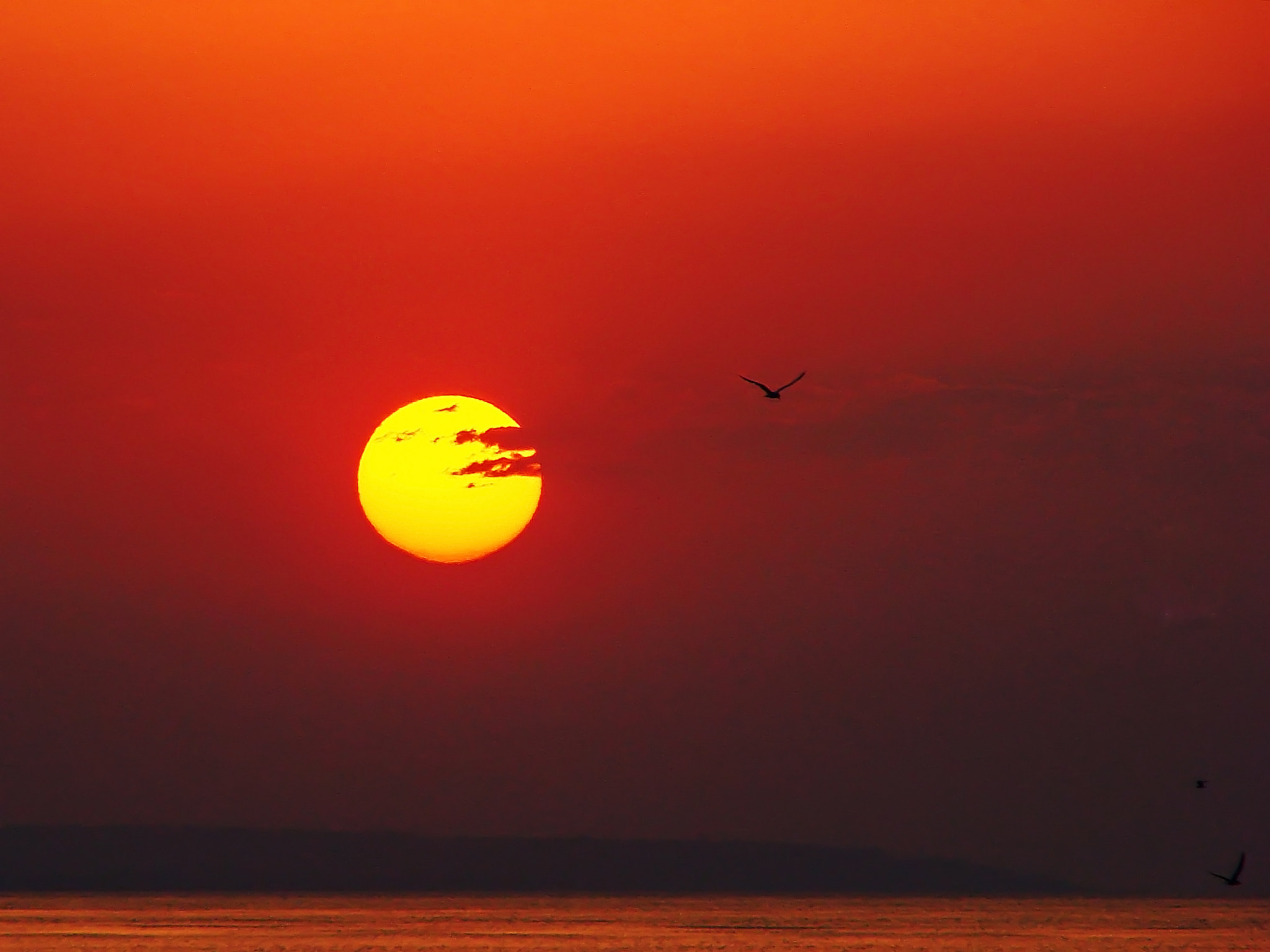 Sony DSC-H5 sample photo. Sunset on the sea of azov photography
