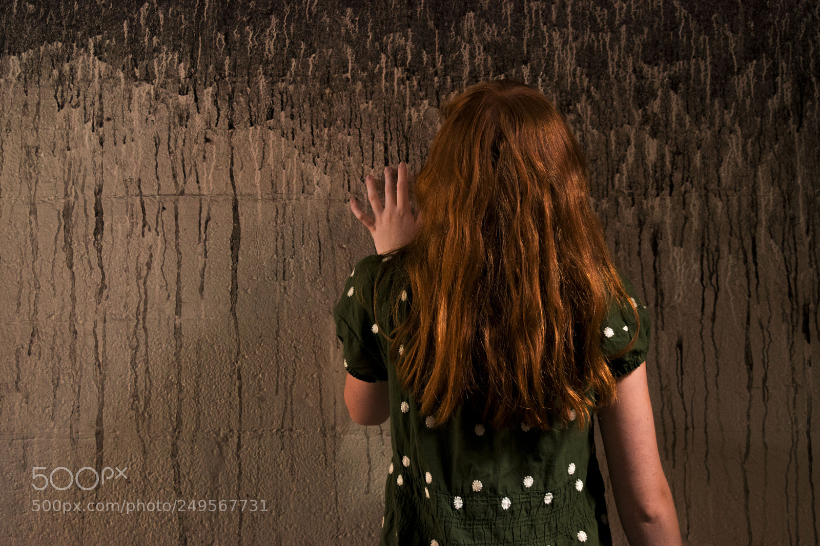 Nikon D3300 sample photo. Behind the wall photography