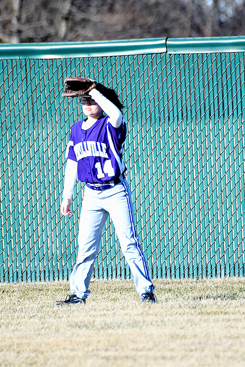 Nikon D500 sample photo. 3-14_0098.jpg photography