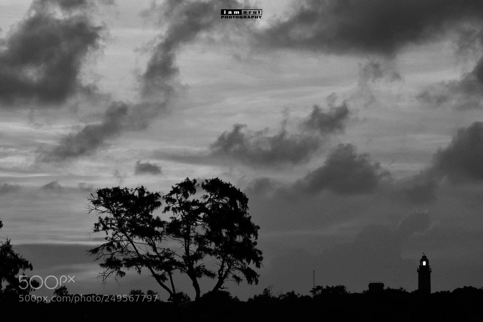 Nikon D3400 sample photo. Untitled photography