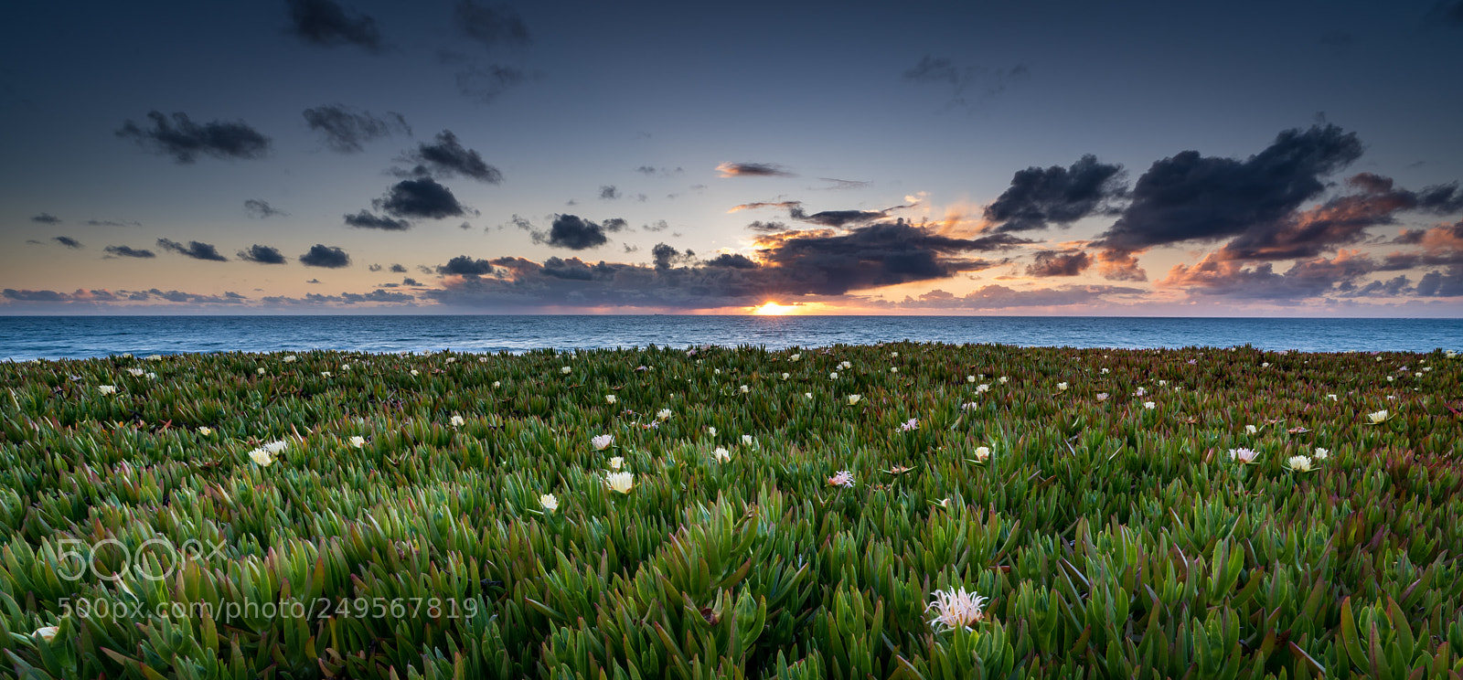 Sony a7R III sample photo. Sunset by the beach photography