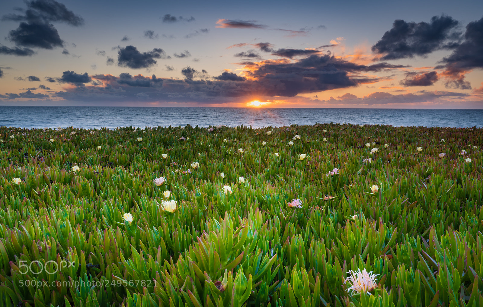 Sony a7R III sample photo. Sunset by the beach photography