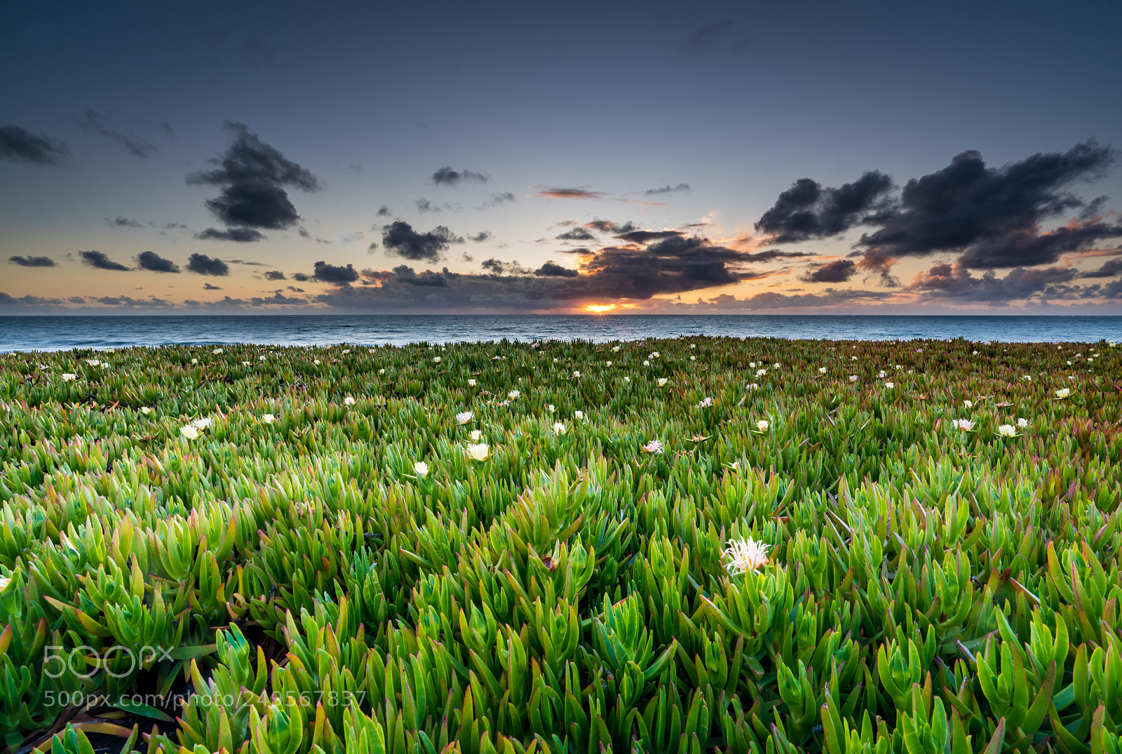 Sony a7R III sample photo. Sunset by the beach photography