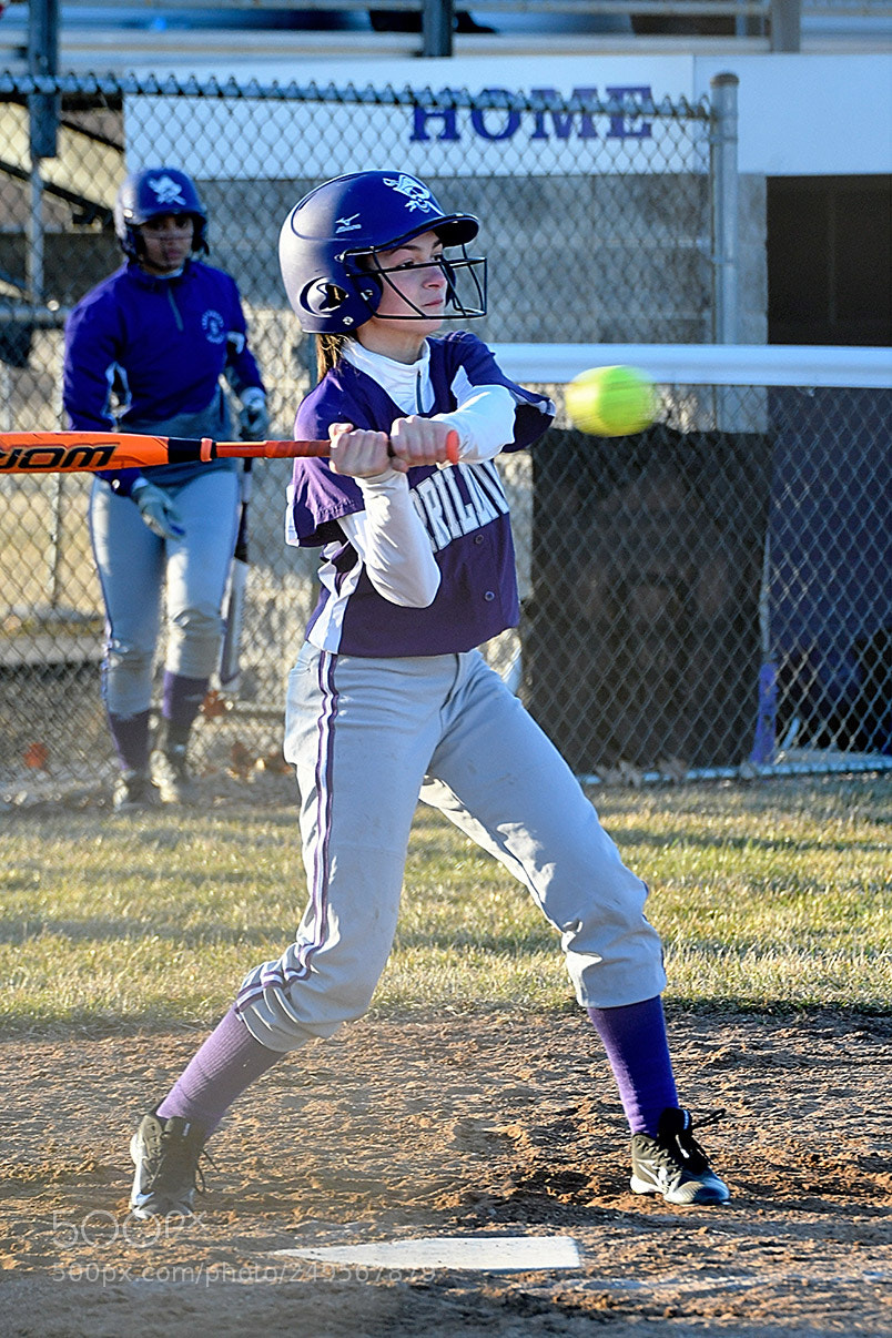 Nikon D500 sample photo. 3-14_0820.jpg photography