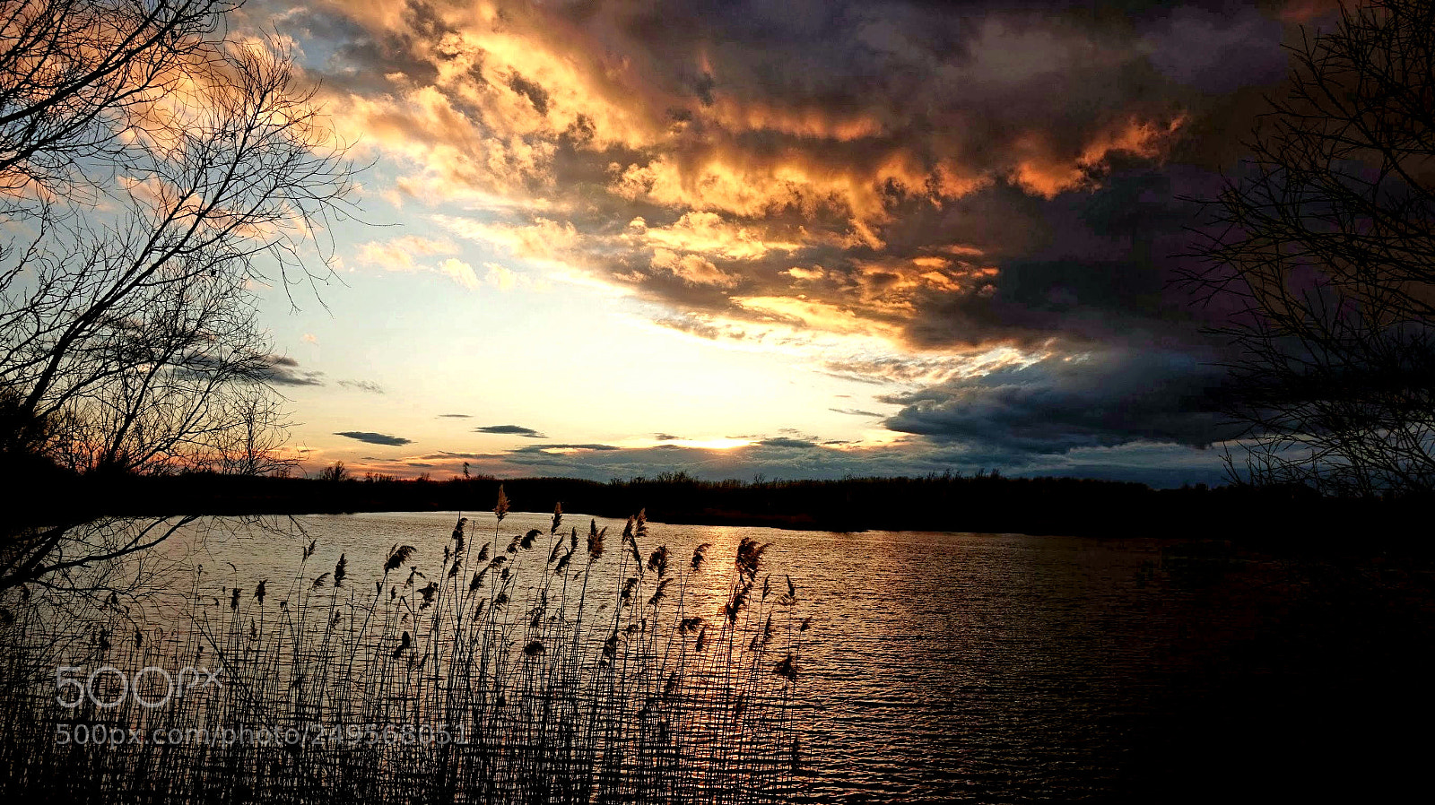 Sony Alpha a5000 (ILCE 5000) sample photo. The gate of light photography