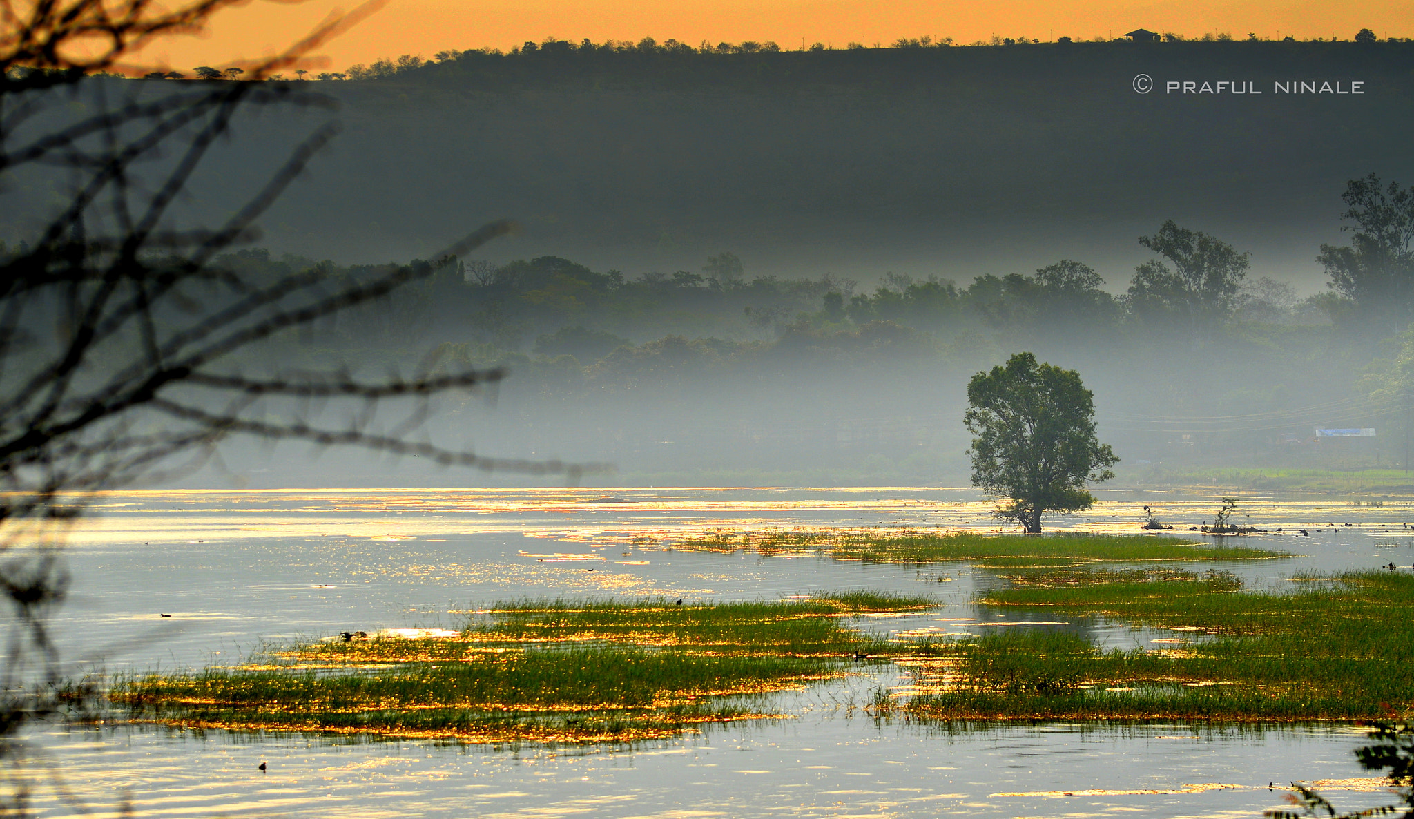 Nikon D3200 sample photo. Golden landscape photography
