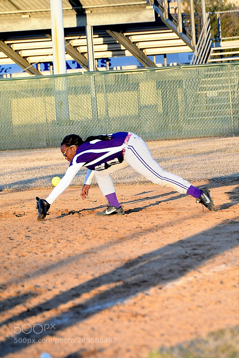 Nikon D500 sample photo. 3-14_1048.jpg photography