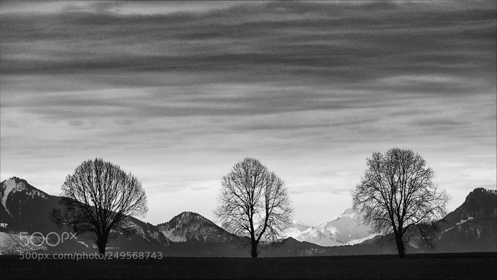 Panasonic Lumix DMC-FZ1000 sample photo. Three trees and mountains photography