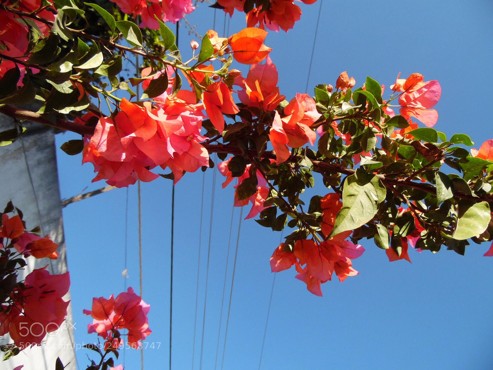 Samsung WB1100F/WB1101F/WB1102F sample photo. Existing... photography
