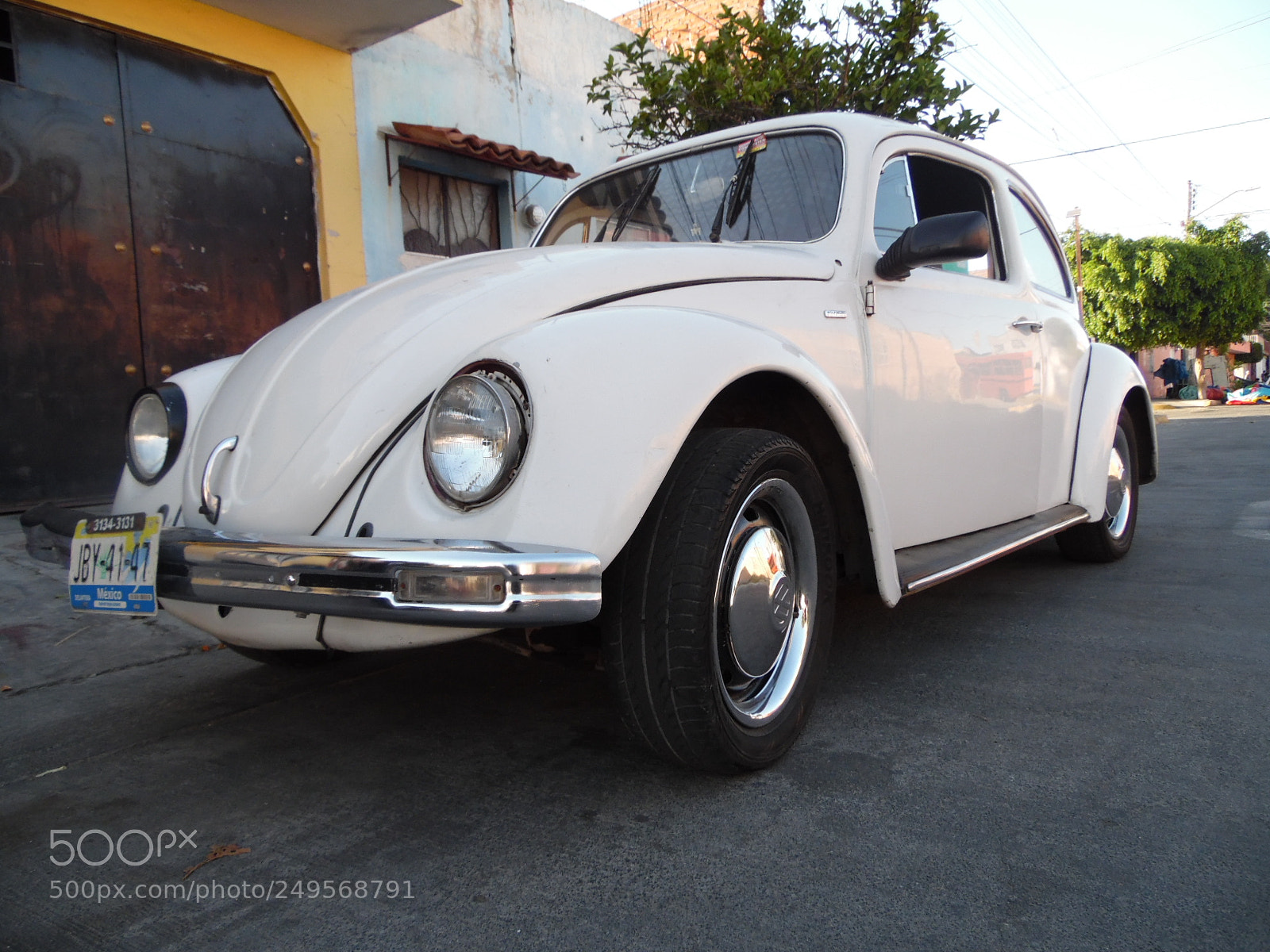 Samsung WB1100F/WB1101F/WB1102F sample photo. Herbie´s cousin photography