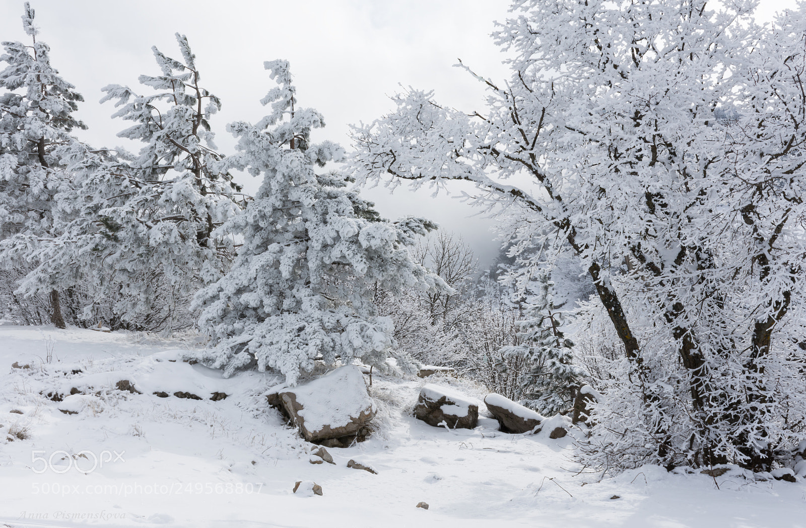 Nikon D7200 sample photo. Beauty-winter photography