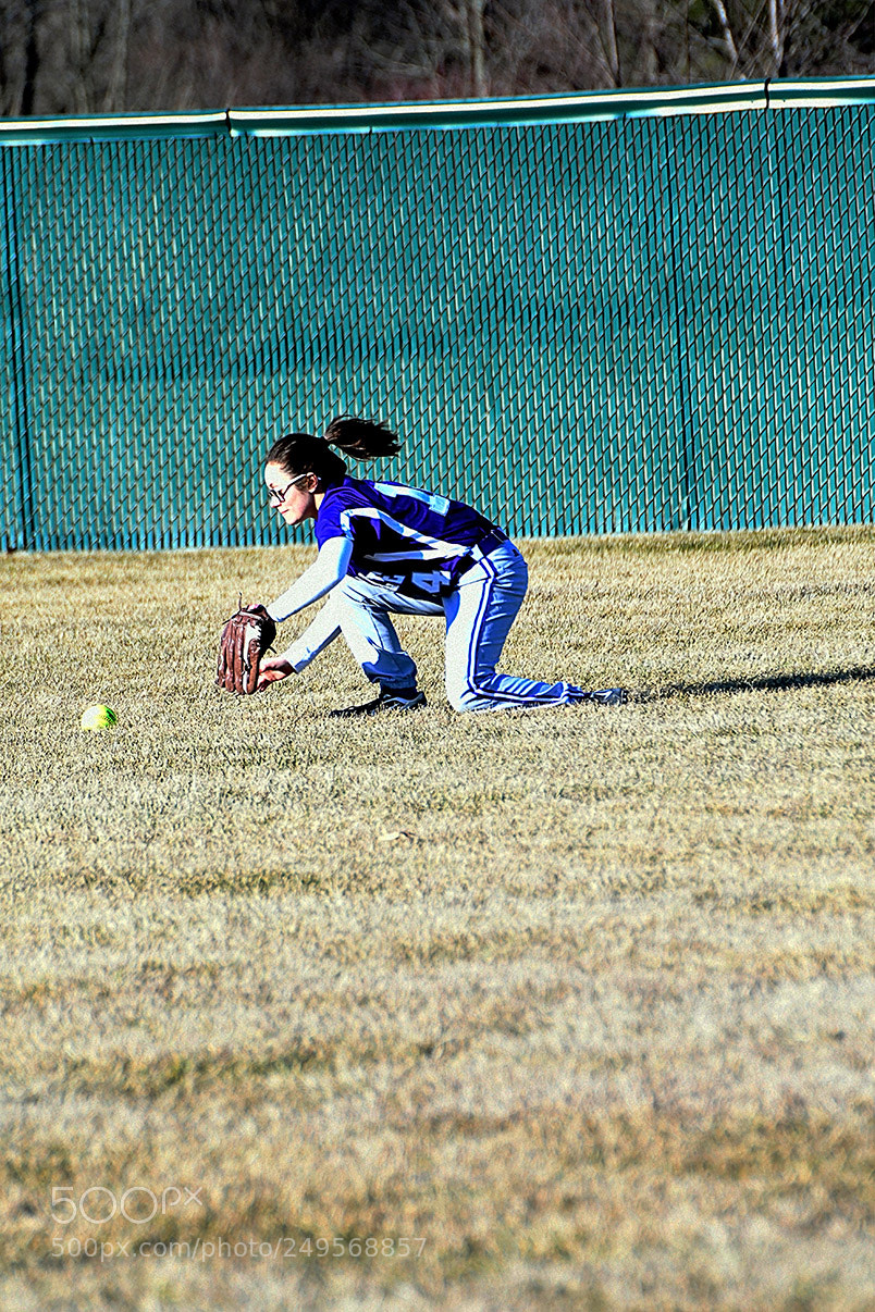 Nikon D500 sample photo. 3-14_0129.jpg photography