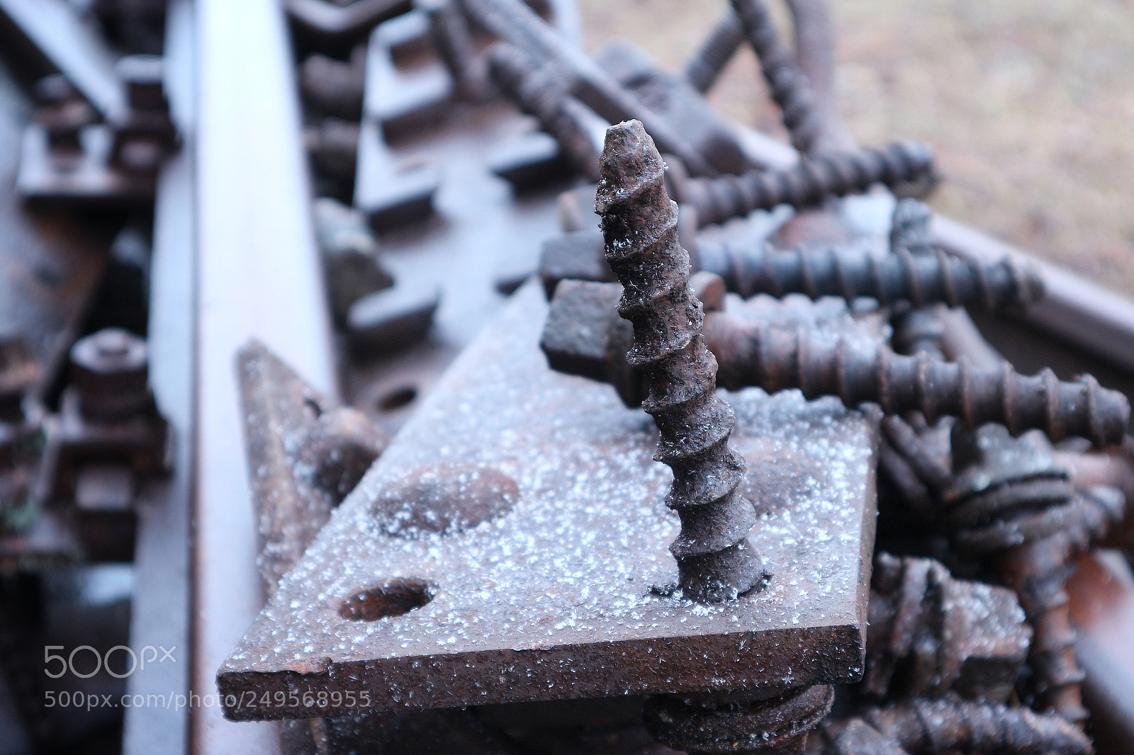 Canon EOS M10 sample photo. Rusted screw photography