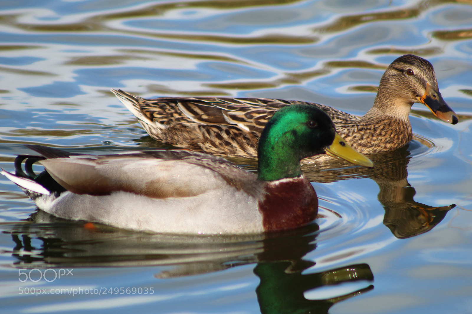 Canon EF 75-300mm f/4-5.6 sample photo. Untitled photography