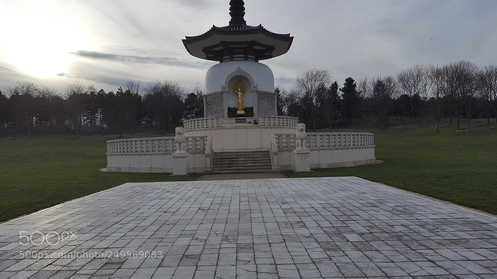 Samsung GALAXY S6 edge sample photo. Untitled photography