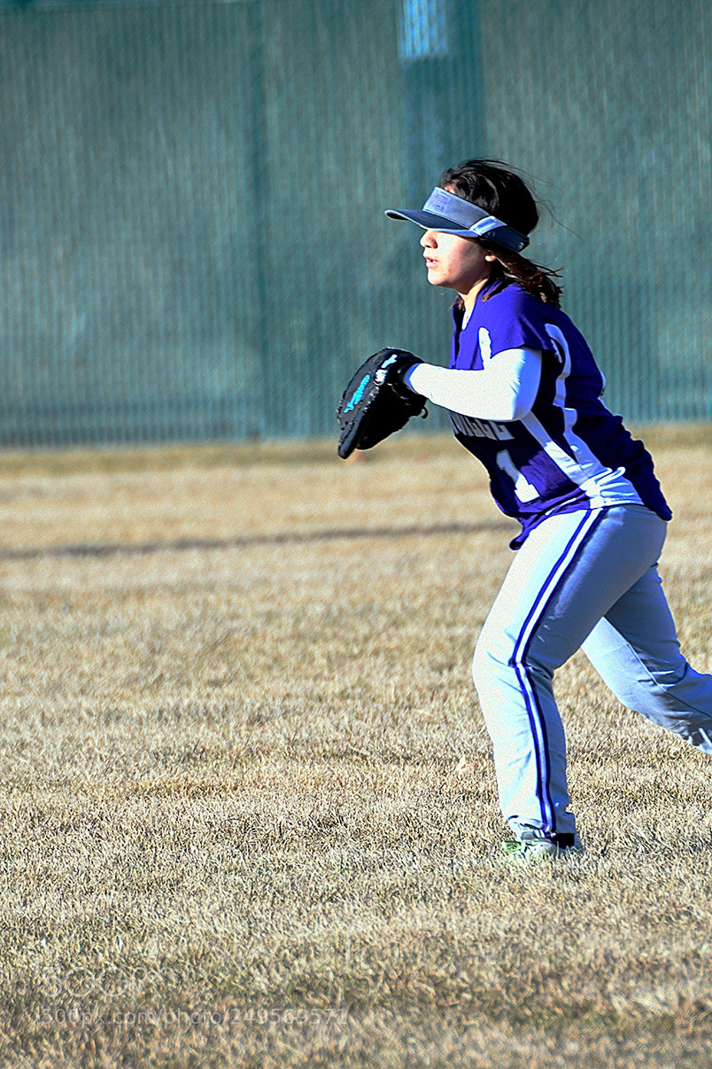 Nikon D500 sample photo. 3-14_0134.jpg photography