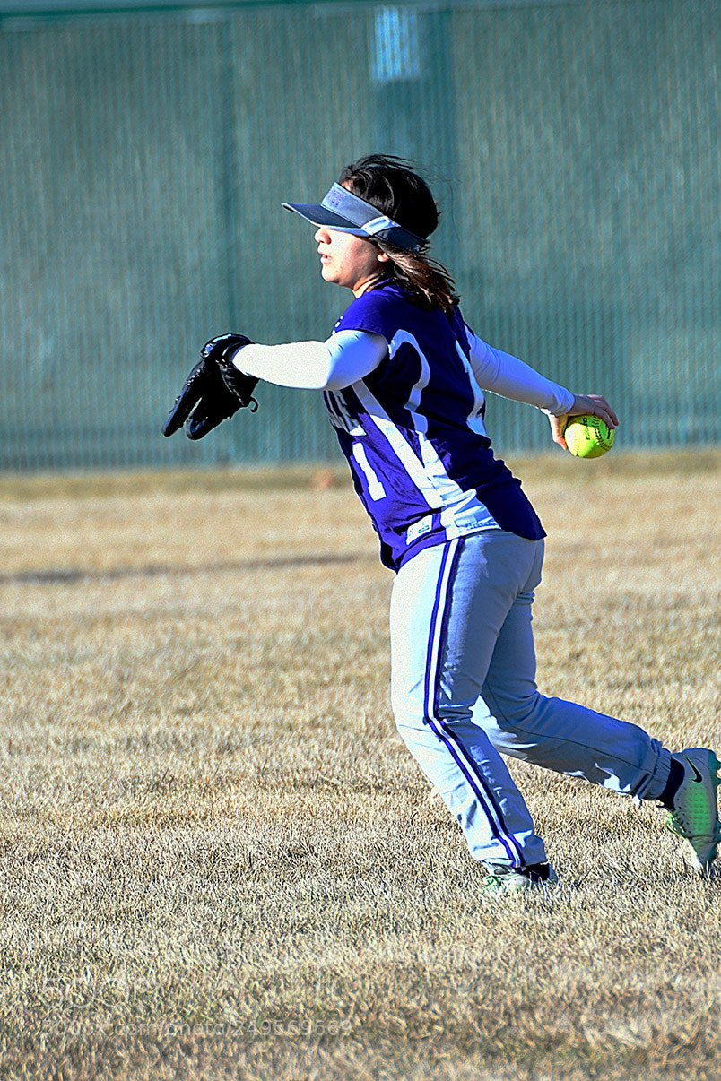 Nikon D500 sample photo. 3-14_0135.jpg photography