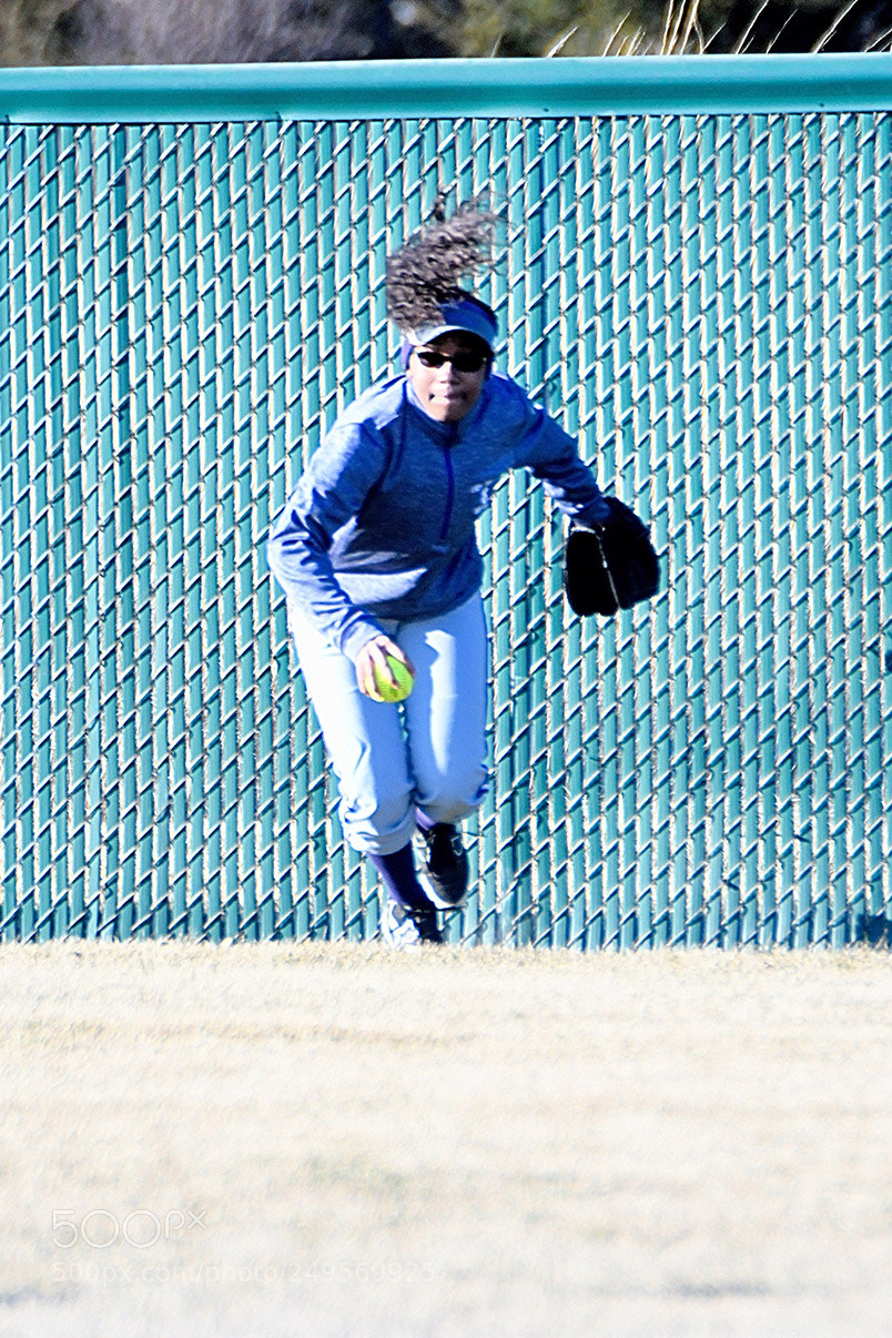 Nikon D500 sample photo. 3-14_0348.jpg photography