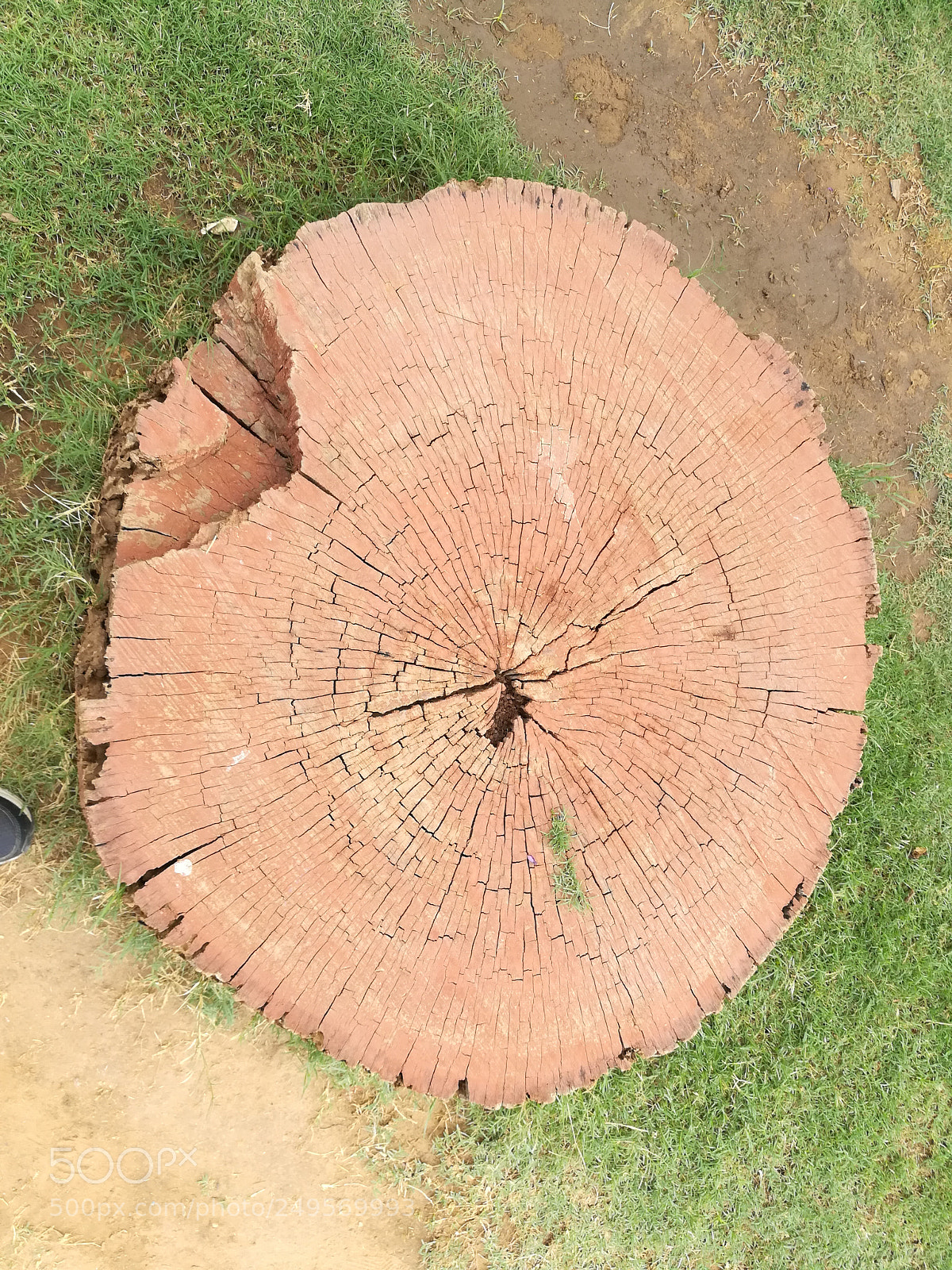 HUAWEI honor 6x sample photo. Wooden bark seat photography