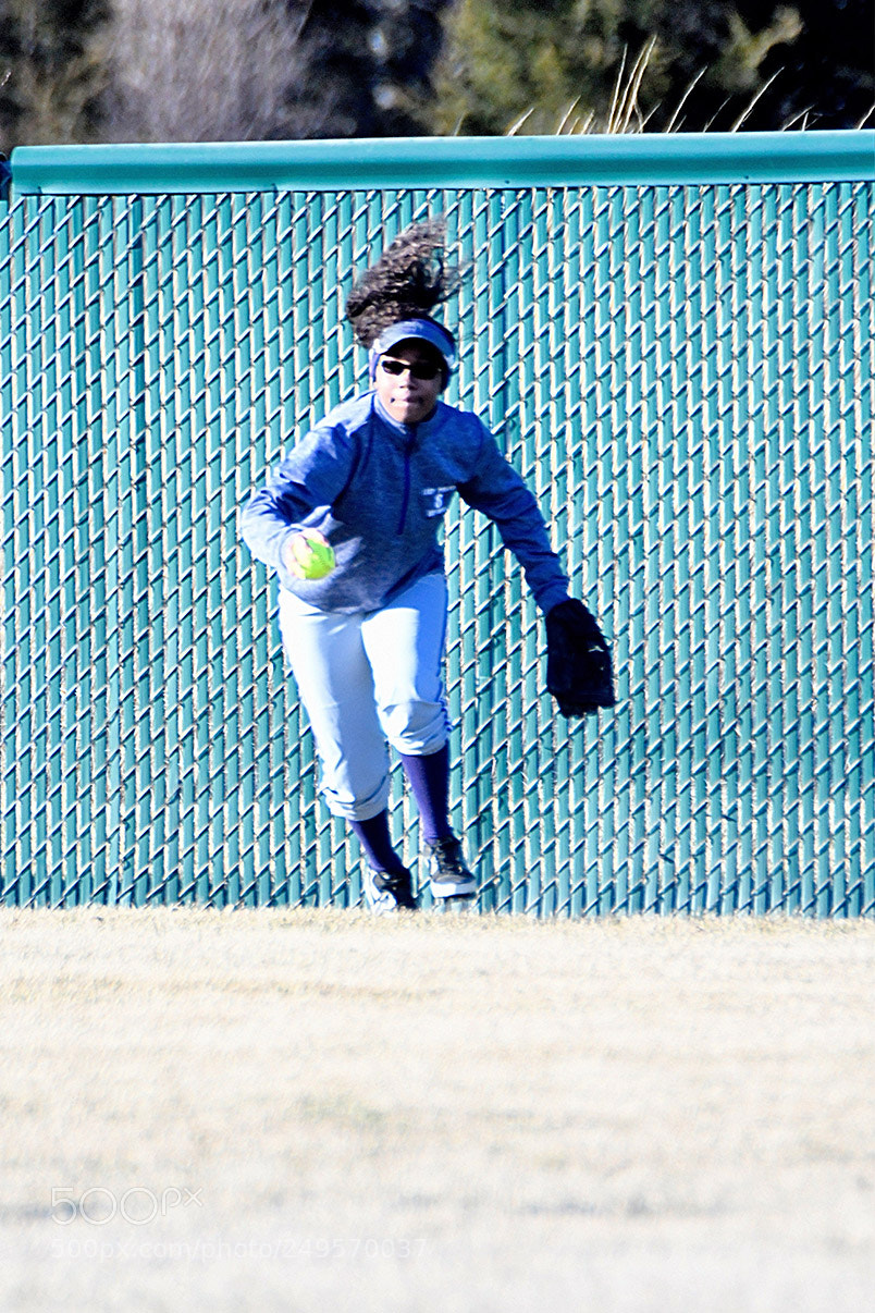 Nikon D500 sample photo. 3-14_0349.jpg photography