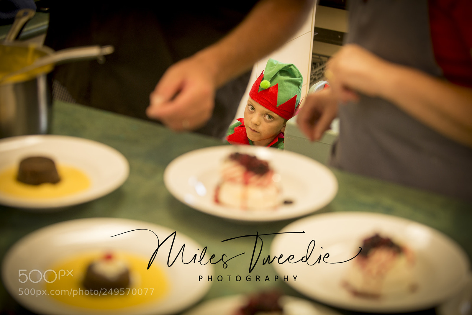 Nikon D600 sample photo. Nmt9776 photography